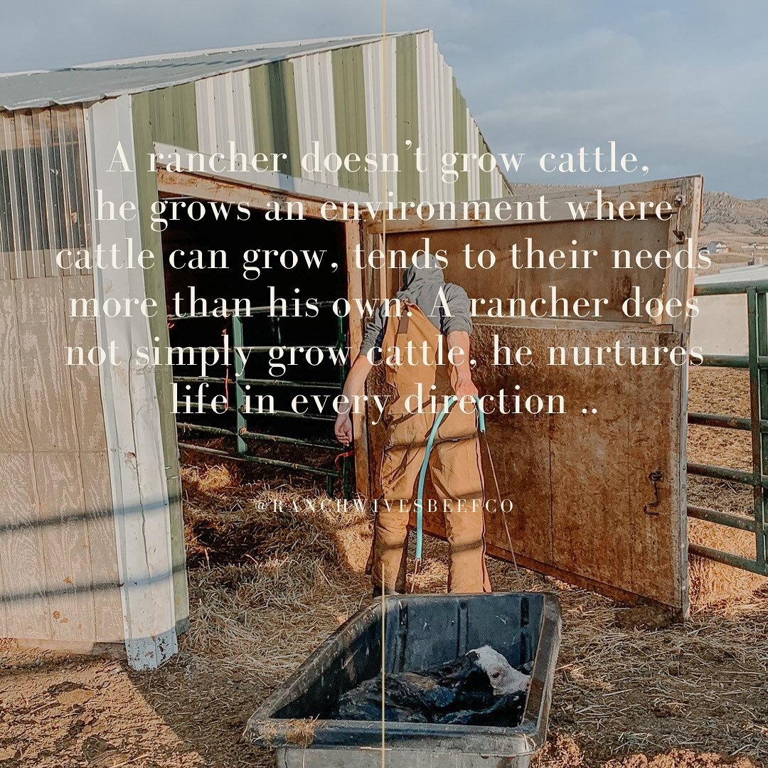 A rancher doesn&rsquo;t grow cattle. 
Hear me out.. A rancher doesn&rsquo;t grow cattle, he grows an environment where cattle can grow, tends to their needs more than his own. A rancher does not simply grow cattle, he nurtures life in every directio